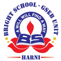 Bright School